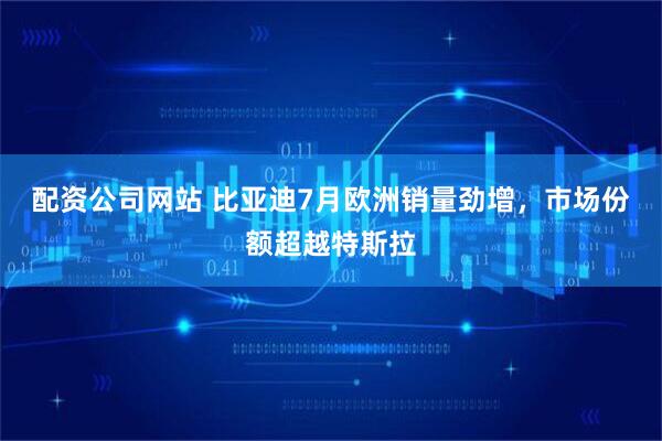 配资公司网站 比亚迪7月欧洲销量劲增，市场份额超越特斯拉